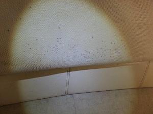 Click image for larger version

Name:	2013-03-12-Mold-before-bleach.jpg
Views:	39
Size:	44.3 KB
ID:	2647
